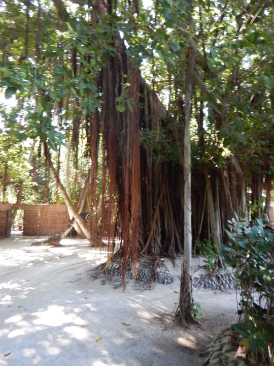 Insel Adaaran Select Meedhupparu Island Resort - Premium All Inclusive