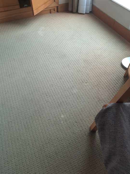 Zimmer Hotel Four Points by Sheraton Shenzhen