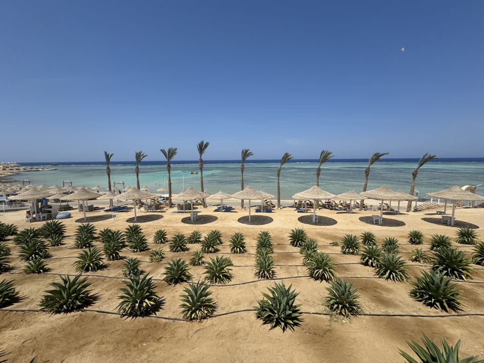 Strand Pickalbatros Vita Resort - Portofino Marsa Alam