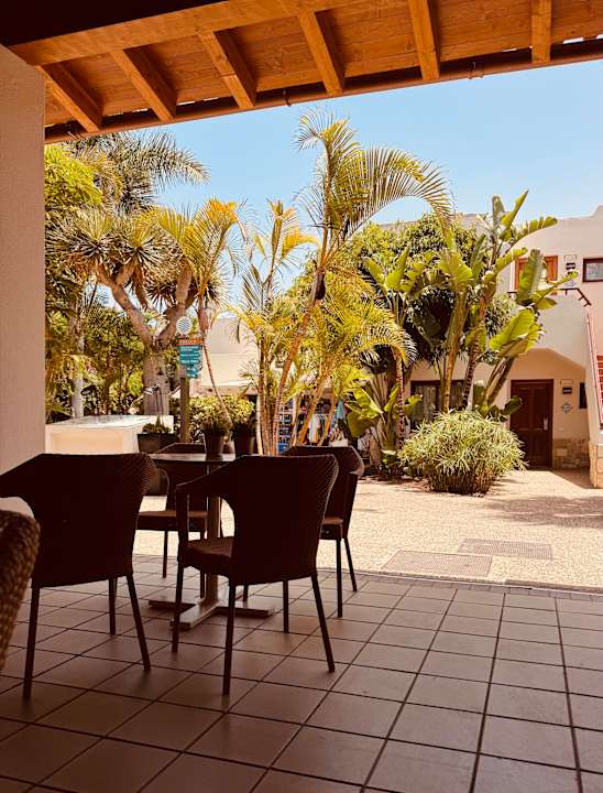 Gartenanlage Alua Suites Fuerteventura