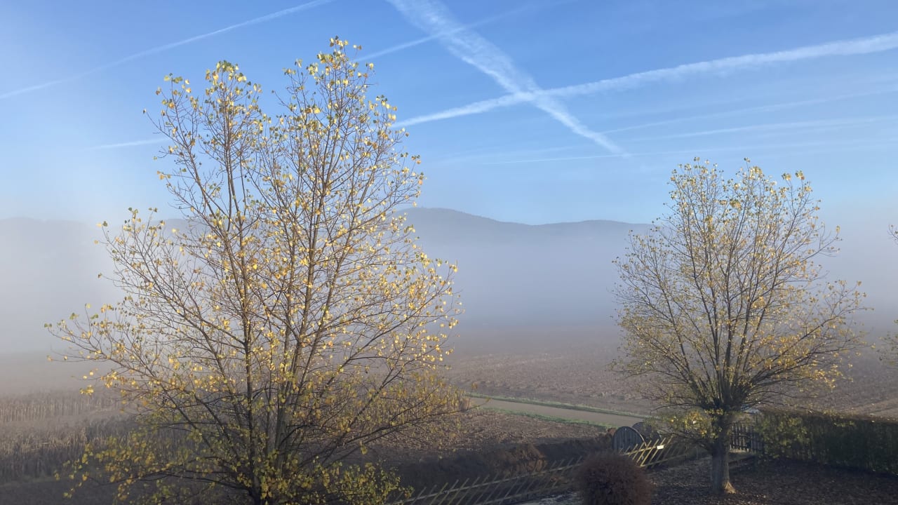 Ausblick Wilfinger Ring Bio Hotel