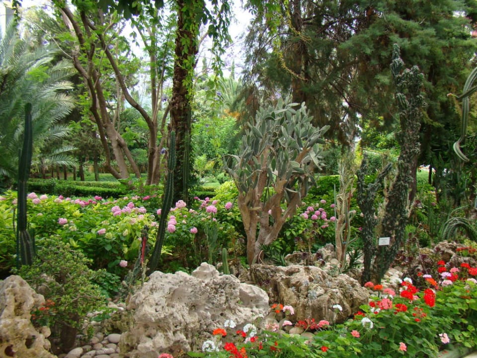 Сад Botanik Hotel & Resort