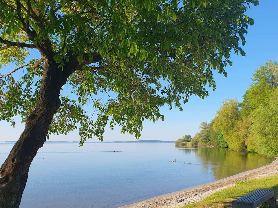 Strand Seehotel Schloss Klink