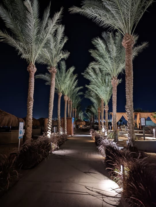 Gartenanlage Sunrise Tucana Resort - Grand Select