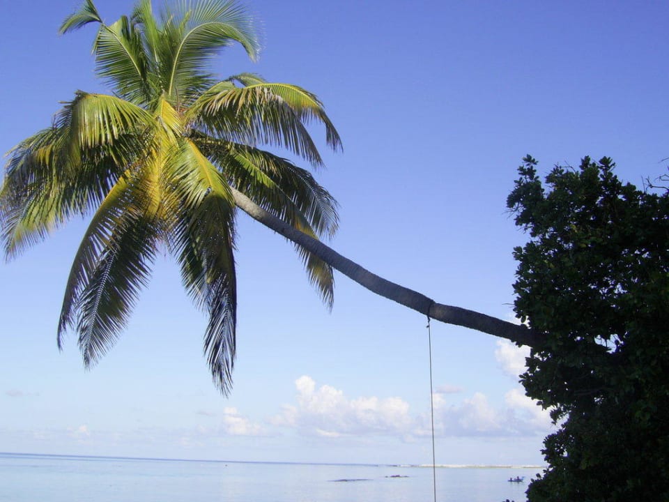 Inselbegehung Vilamendhoo Island Resort & Spa