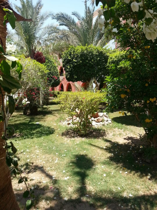 Garten Arabia Azur Resort