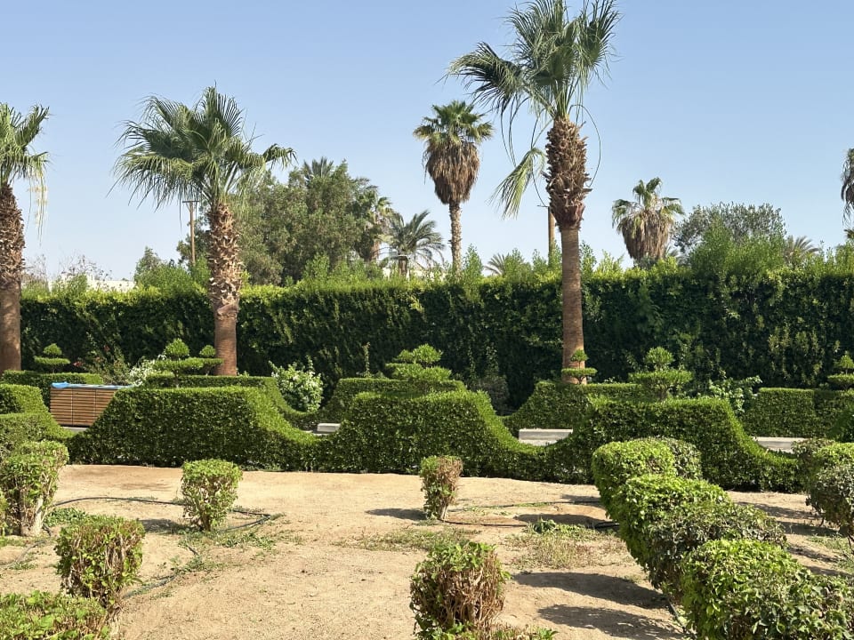 Gartenanlage Steigenberger ALDAU Beach Hotel