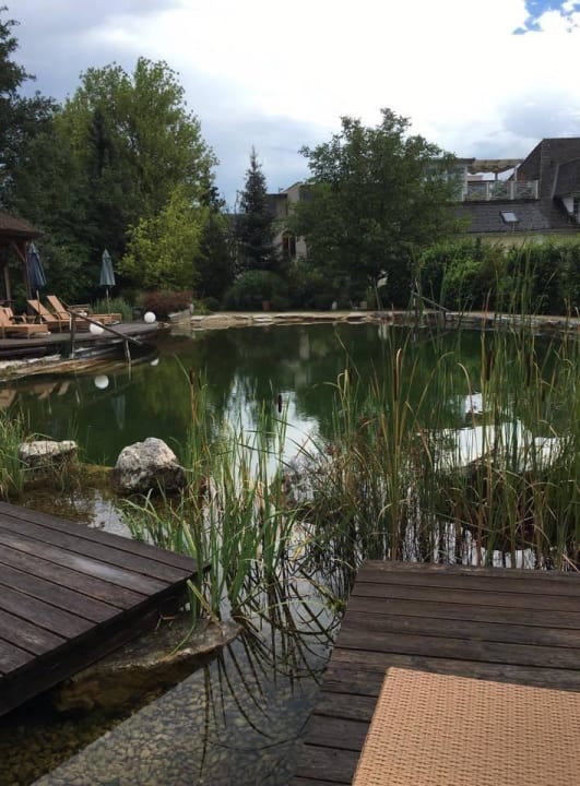 Mit Schwimmteich Garten-Hotel Ochensberger