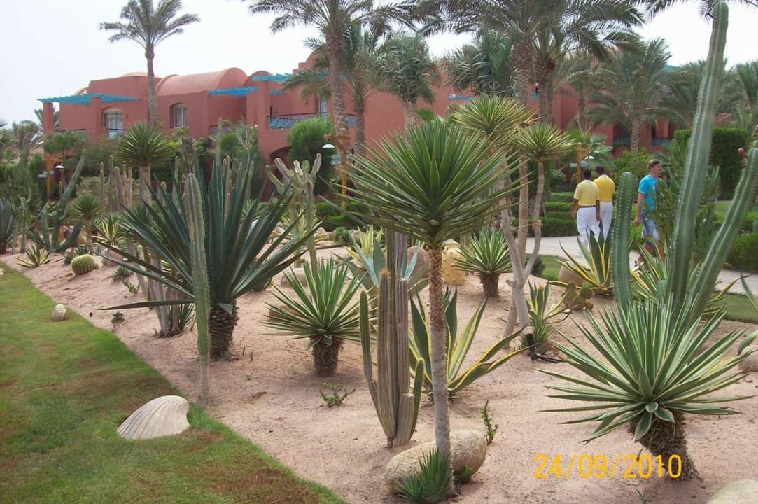 Gartenanlage TUI MAGIC LIFE Redsina Sharm El Sheikh