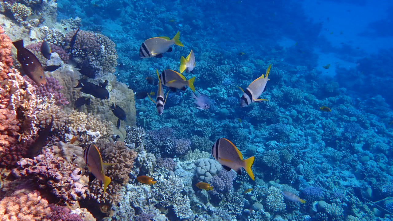 Sport & Freizeit Makadi Spa - Adults only