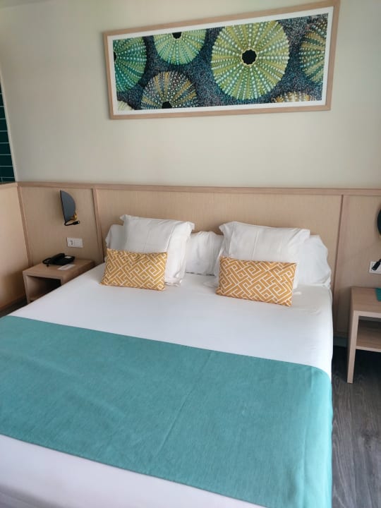 Zimmer AluaSoul Palma