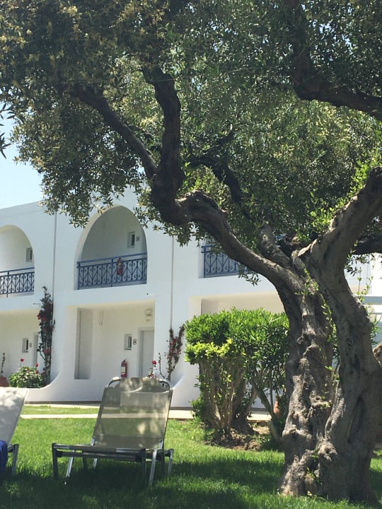 Außenansicht TUI KIDS CLUB Alex Beach