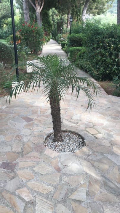 Gartenanlage BV Borgo del Principe