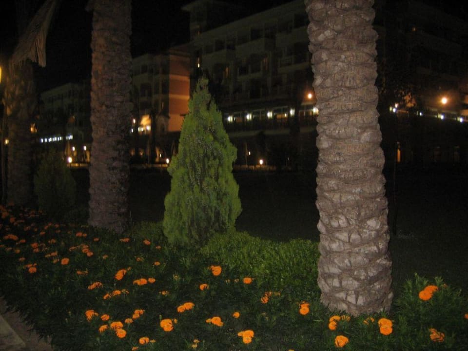 Anlage Nachts Trendy Aspendos Beach Hotel