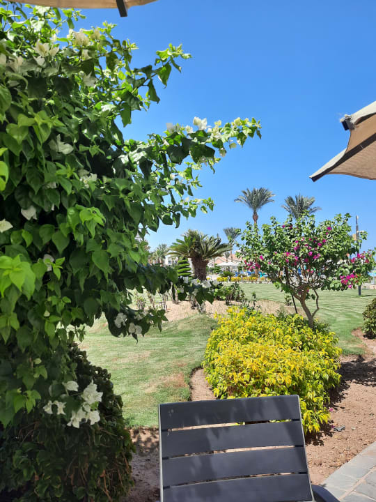 Gartenanlage Pickalbatros Dana Beach Resort - Hurghada