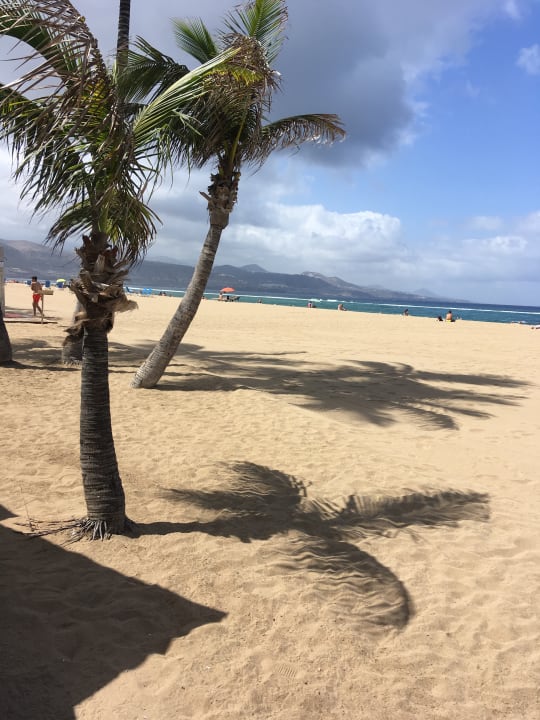 Strand Hotel Aloe Canteras