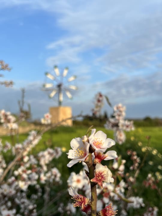 Garten Hotel Tres