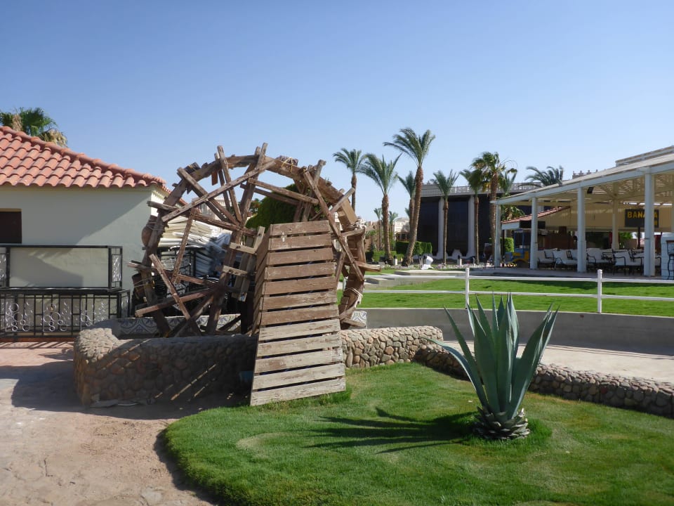 Dekoration Beach Albatros Resort
