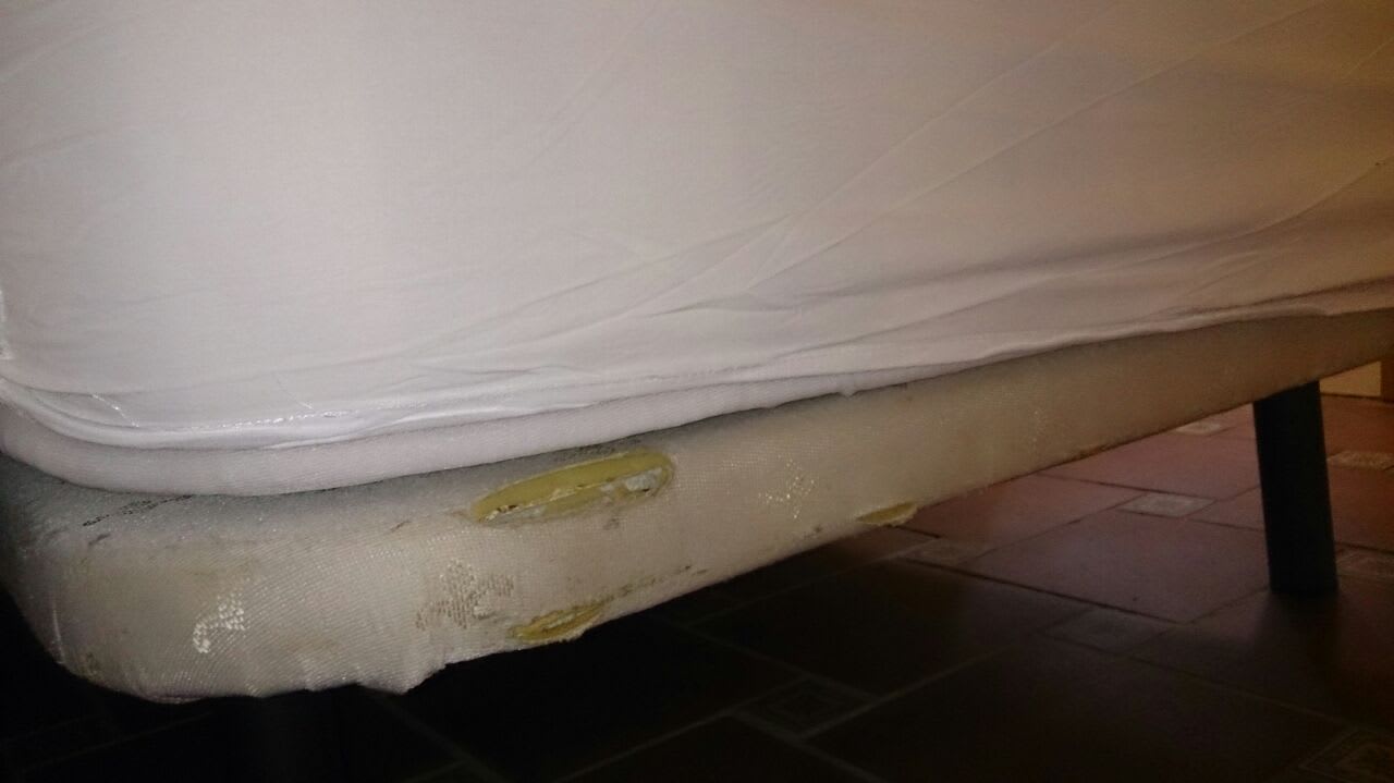 Zimmer Bull Costa Canaria & Spa - Adults only