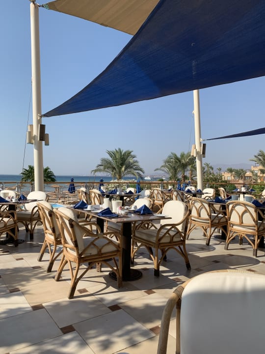 Gastro Shams Prestige Abu Soma-Adults Only