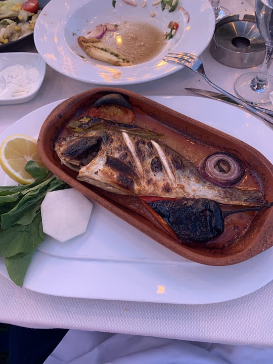 Gastro TUI MAGIC LIFE Beldibi +16