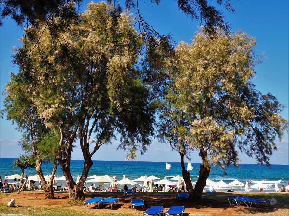 Strand Kernos Beach Hotel & Bungalows