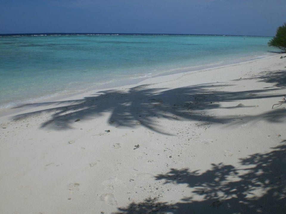 Palme Kuramathi Maldives