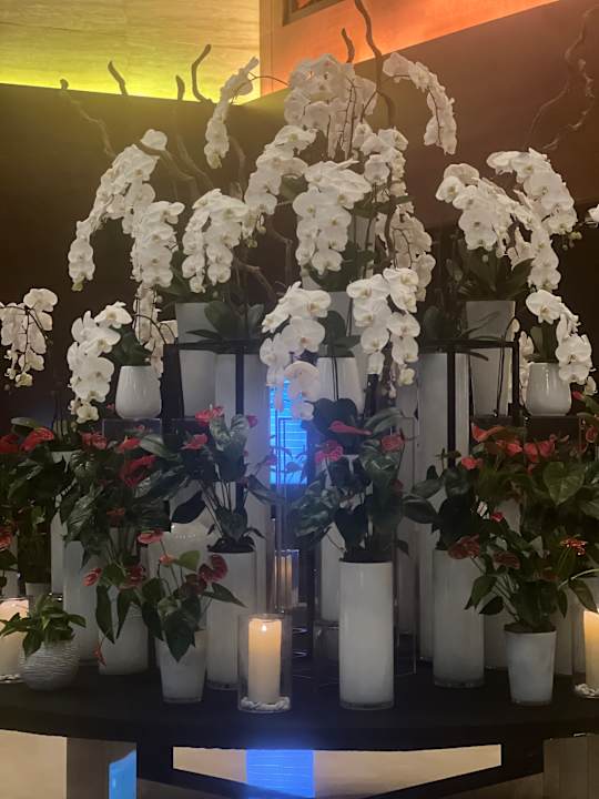 Lobby JW Marriott Marquis Hotel Dubai