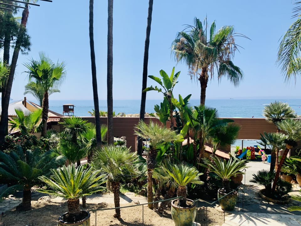 Gartenanlage Amathus Beach Hotel Limassol