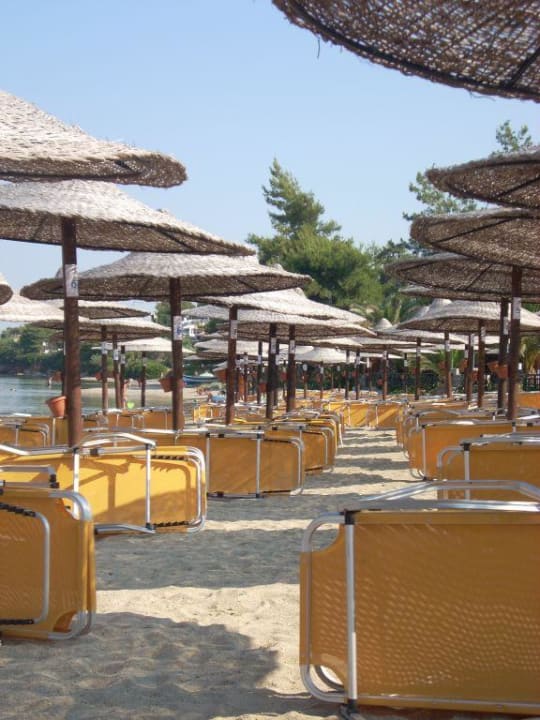 Liegen an Strand - Morgens Anthemus Sea Beach Hotel & Spa
