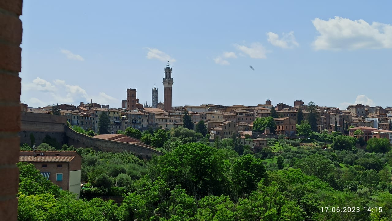 Ausblick Hotel Il Giardino