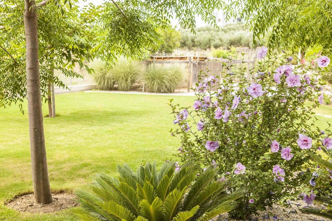 Garden of Ammouda Villas Ammouda Villas