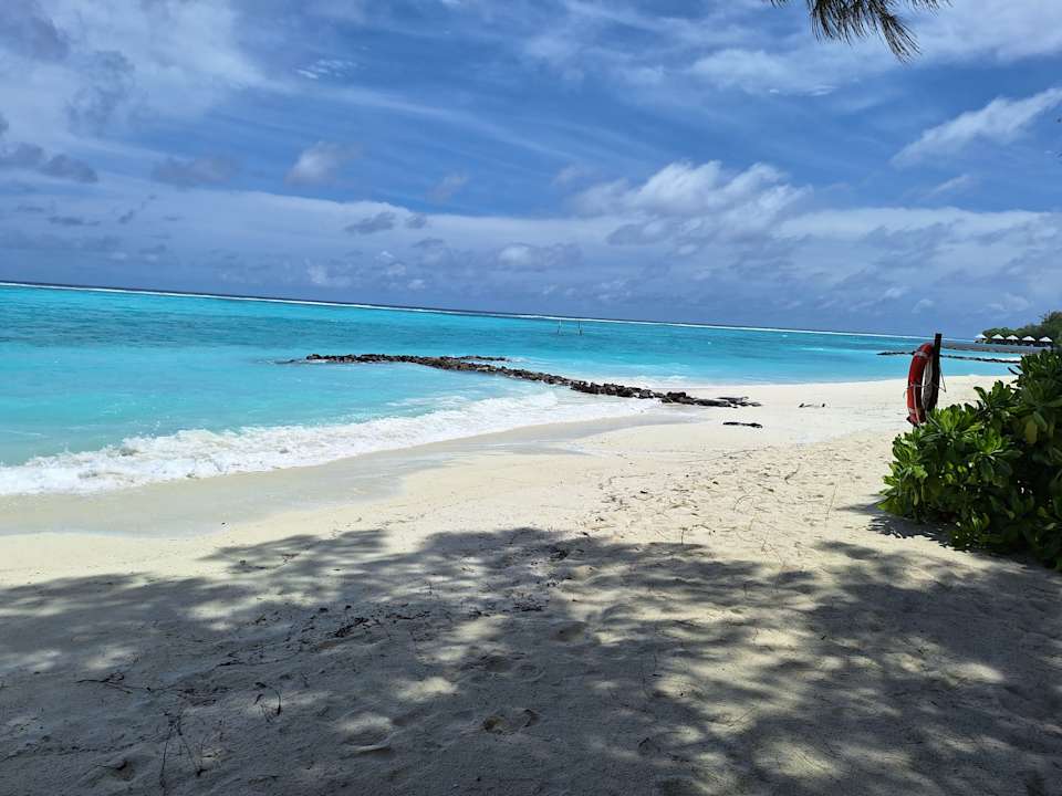 Strand Summer Island Maldives