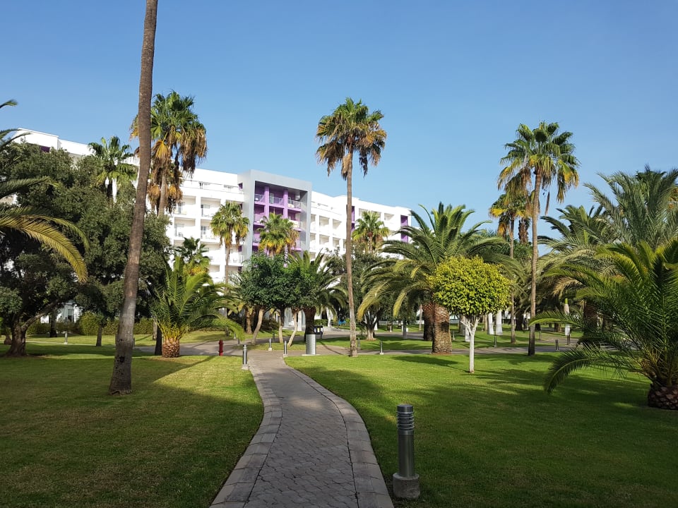 Gartenanlage Hotel Riu Gran Canaria