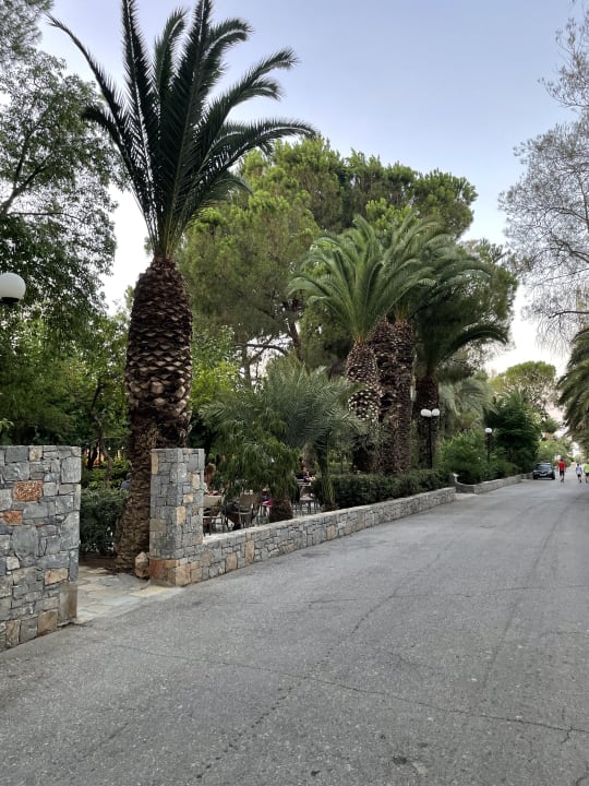 Gartenanlage Apollonia Beach Resort & Spa