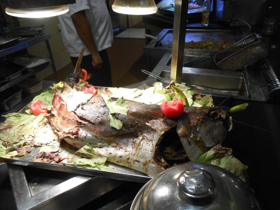 Gastro Pickalbatros Palace Resort