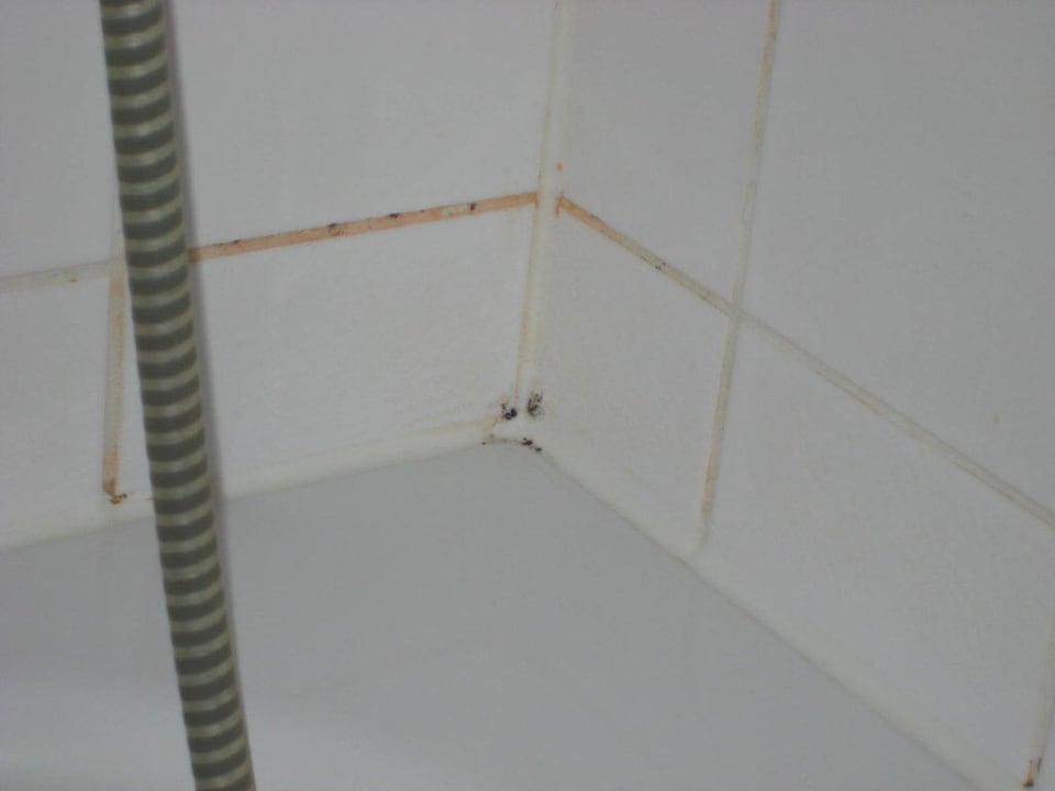 Schimmel Quality Hotel Lippstadt