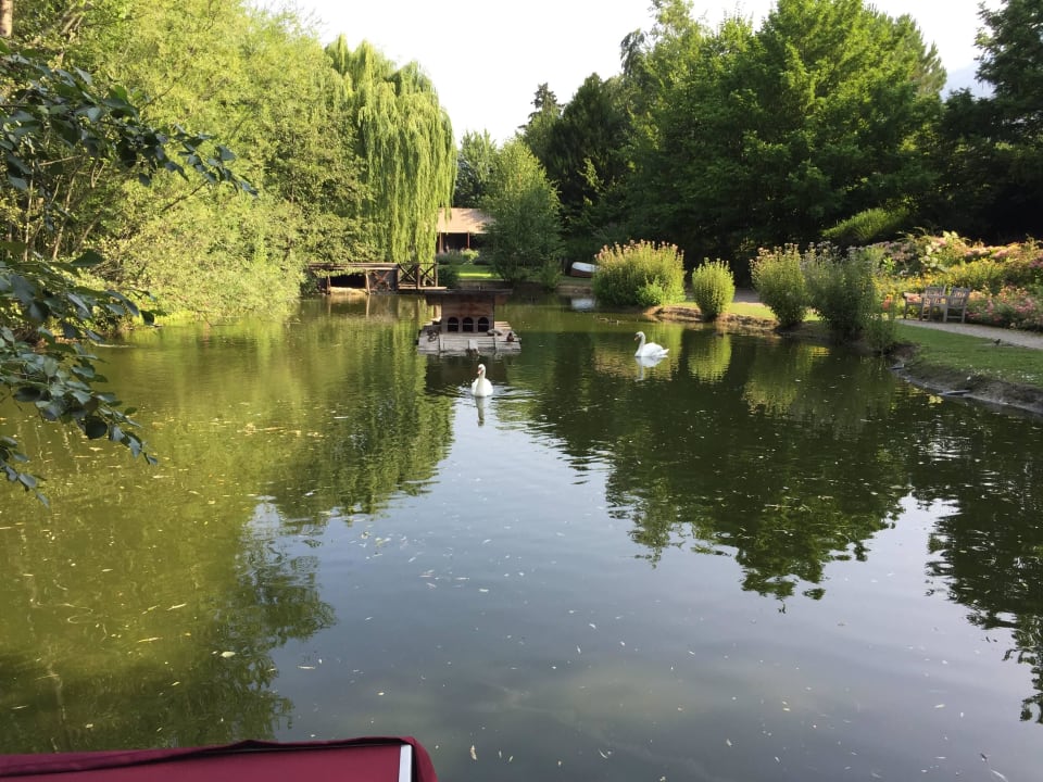 Blick auf den Teich und die Safari Lodge Hotel Villa Irma
