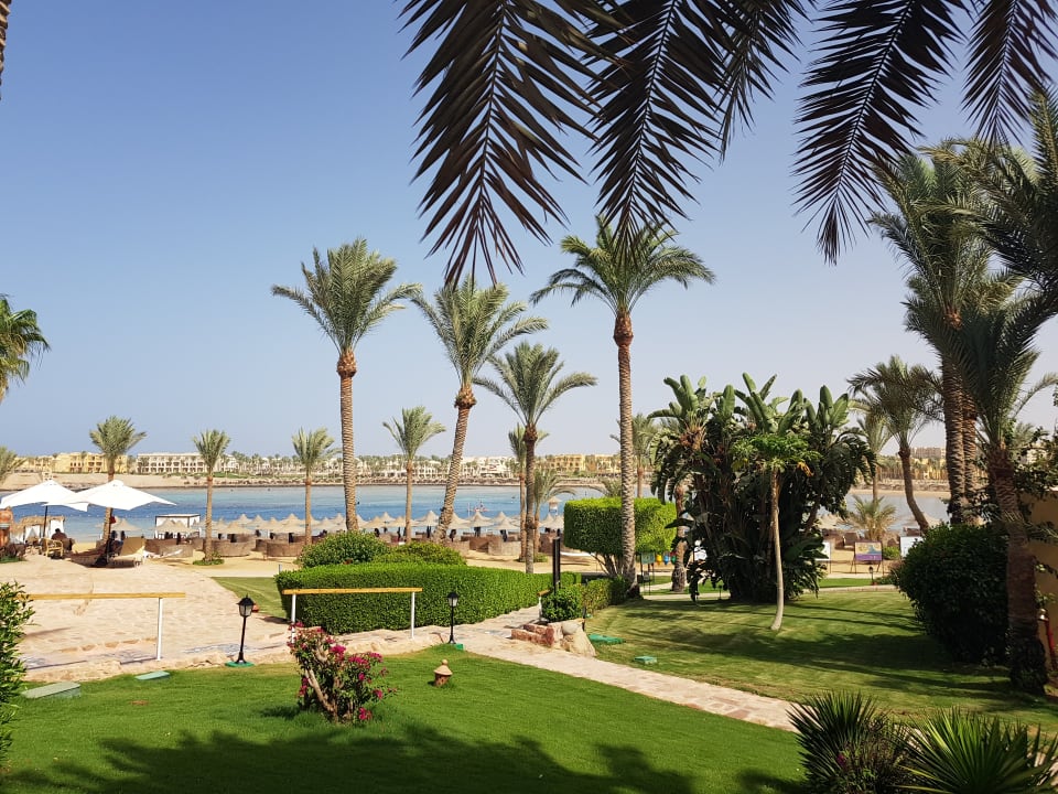 Ausblick Steigenberger Coraya Beach - Adults only