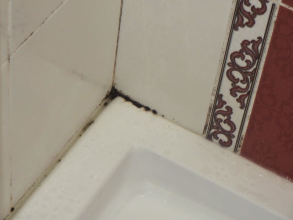 Schimmel Dusche Sultanahmet Suites Hotel