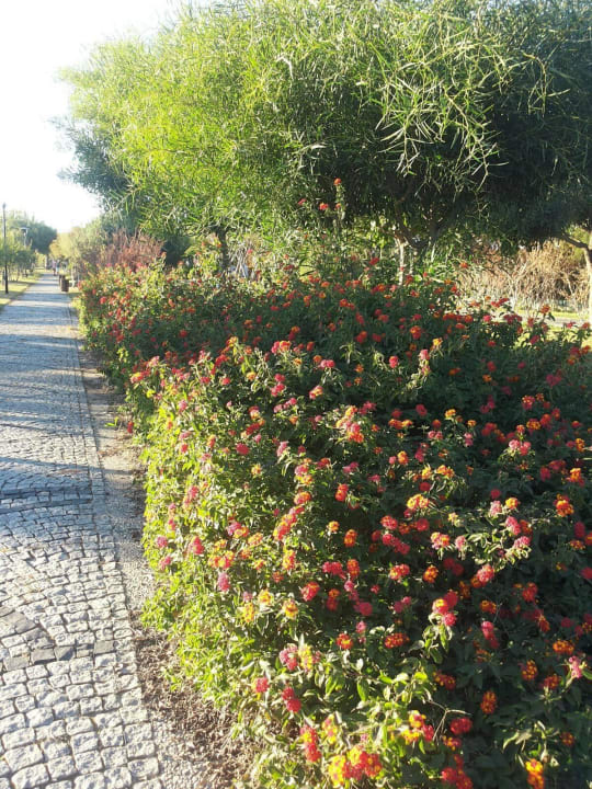 Lange Strandpromenade Palm World Side Resort & Spa