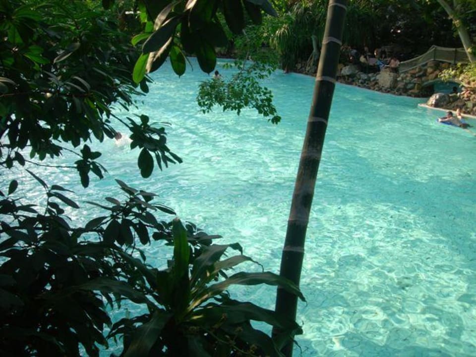 Schwimmbad Center Parcs Het Heijderbos