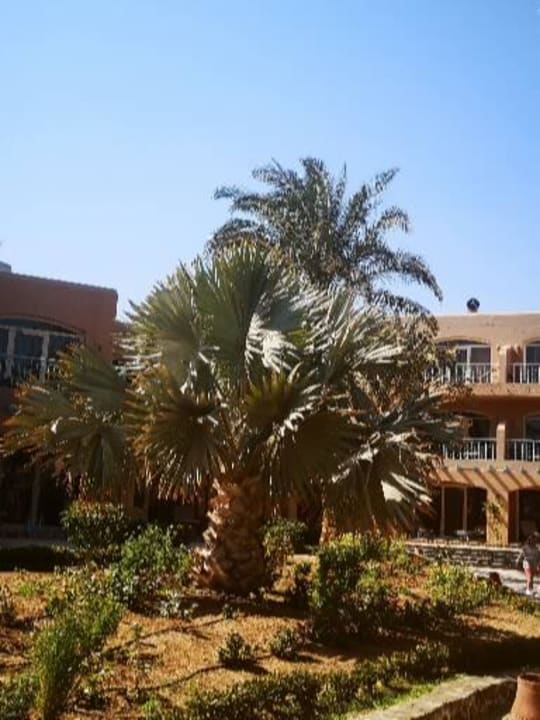 Gartenanlage Club Paradisio El Gouna, Red Sea