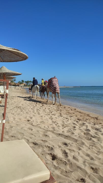 Strand Imperial Shams Abu Soma