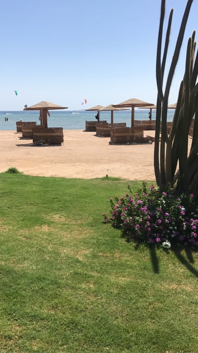 Strand Shams Prestige Abu Soma-Adults Only