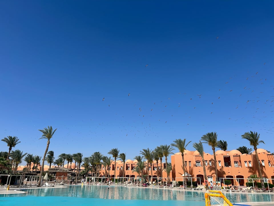 Pool Jaz Makadi Oasis Resort