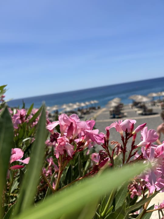 Strand Kakkos Beach Hotel