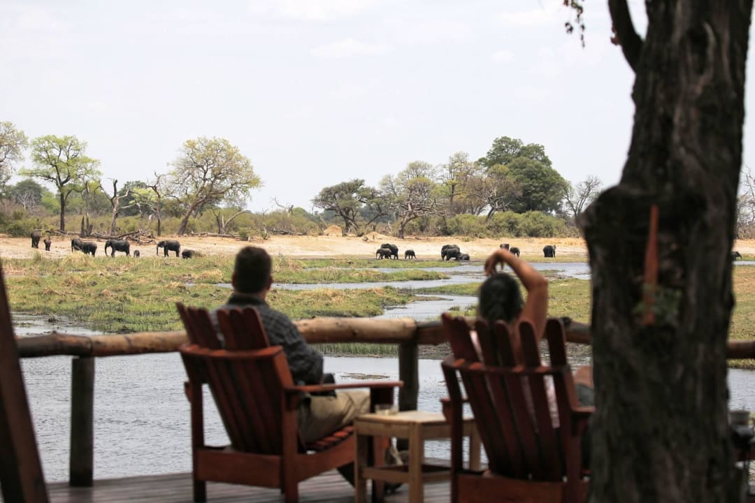 Ausblick über eine Elefantenherde im Camp Hotel Kwando Lagoon Camp