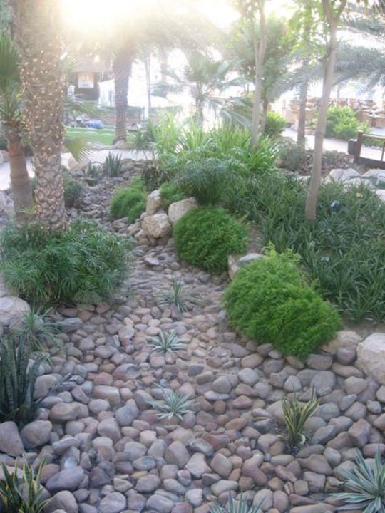 Gartenanlage Hilton Dubai Jumeirah