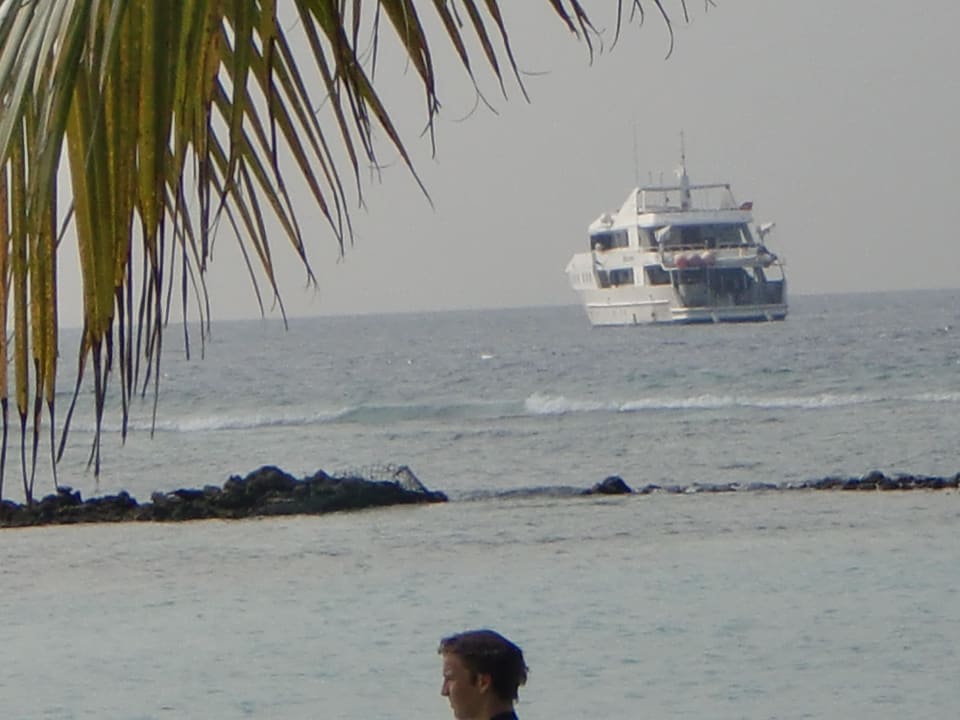 Tauchschiff Monsoon Kuredu Island Resort & Spa